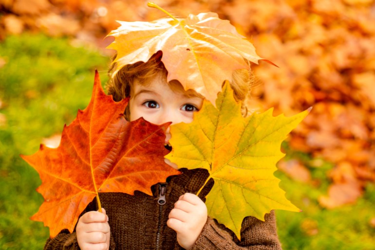 "ShutterStock, Shutter Stock, kid, yellow, boy, cute, fall, leaves, children, happiness, funny, park, kids, autumnal, childhood, leaf, portrait, people, foliage, face, leafs, outside, maple, looking, autumn, family, fun, adorable, child, little"